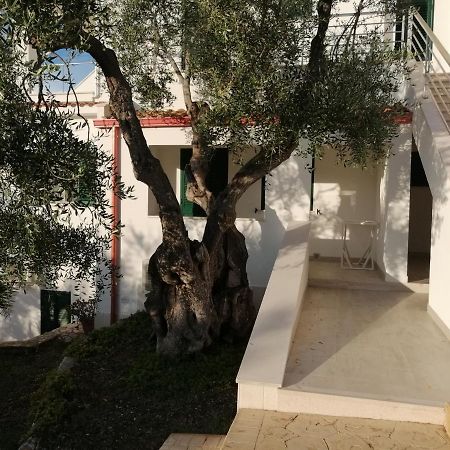 Villa Elisa Vieste Dış mekan fotoğraf