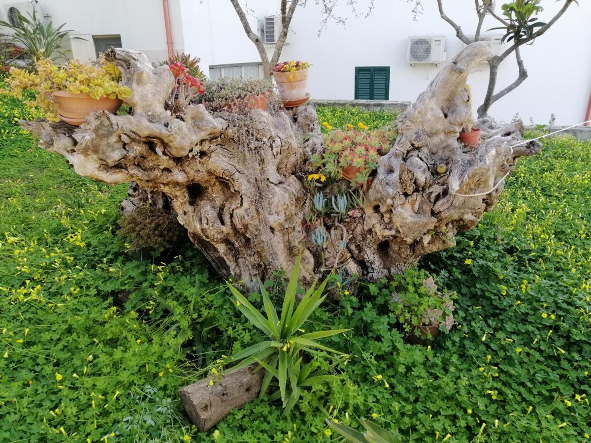 Villa Elisa Vieste Dış mekan fotoğraf