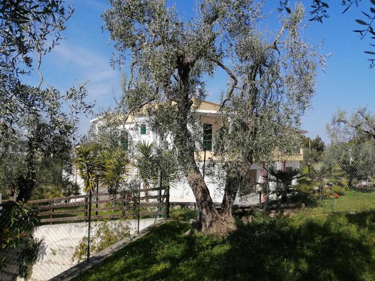 Villa Elisa Vieste Dış mekan fotoğraf