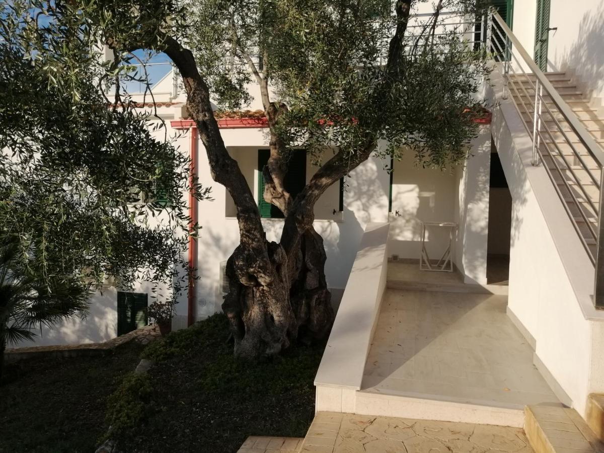 Villa Elisa Vieste Dış mekan fotoğraf